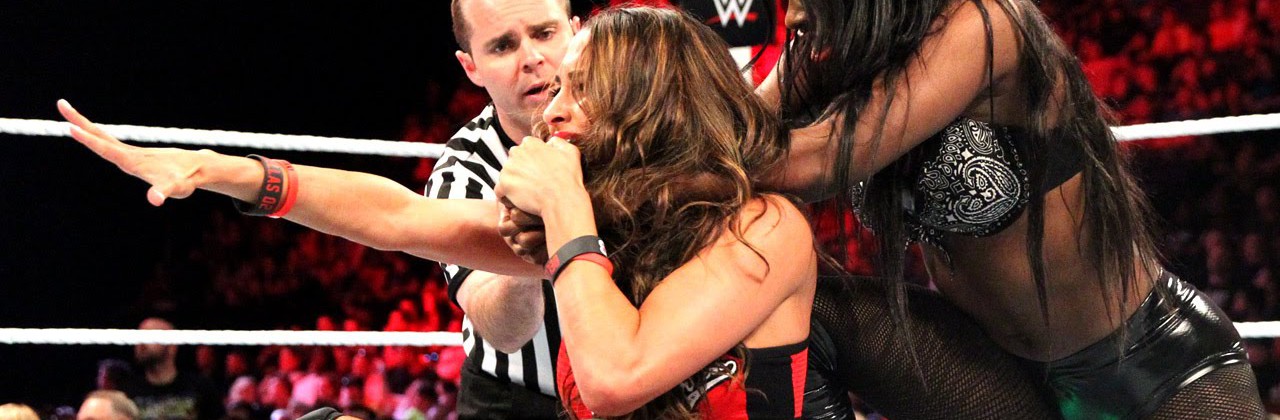 Le Dive della WWE: il wrestling femminile!