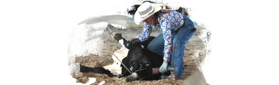 Ropink, il rodeo femminile